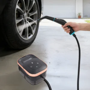 Portable High Pressure Cleaning Steam Cleaner